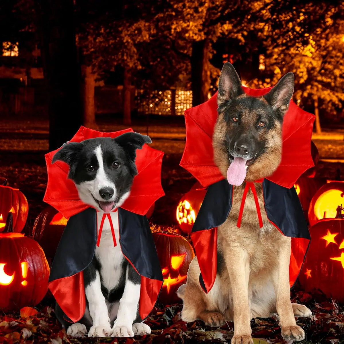 Dog Halloween Costumes, Dog Vampire Devil Cloak Cape Costume Halloween Costumes for Small Medium Large Dogs Pets (Large)