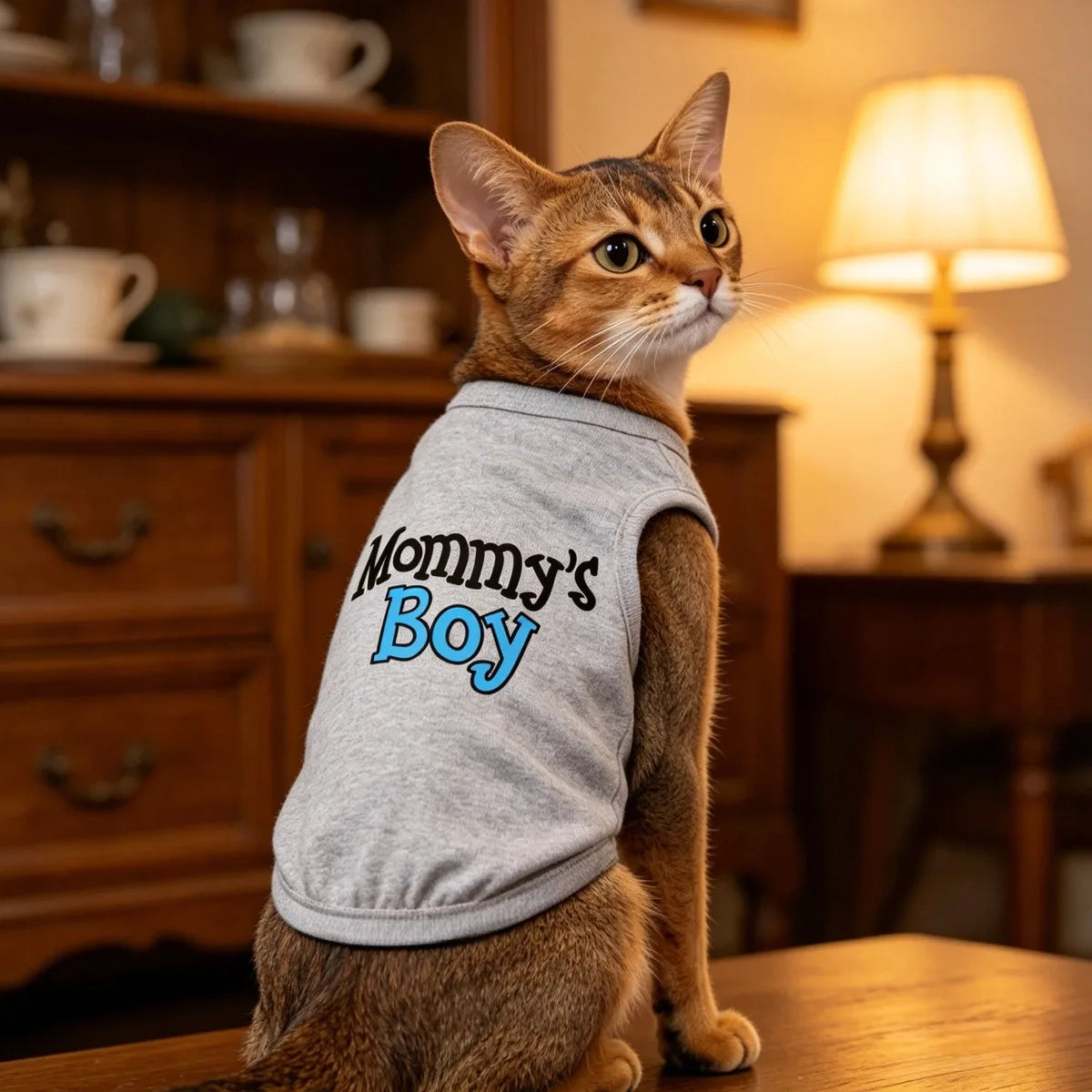 1pc pet cat and dog T-shirt vest, special printed cute and fashionable, breathable and elastic fabric, suitable for indoor and outdoor sports in spring and summer