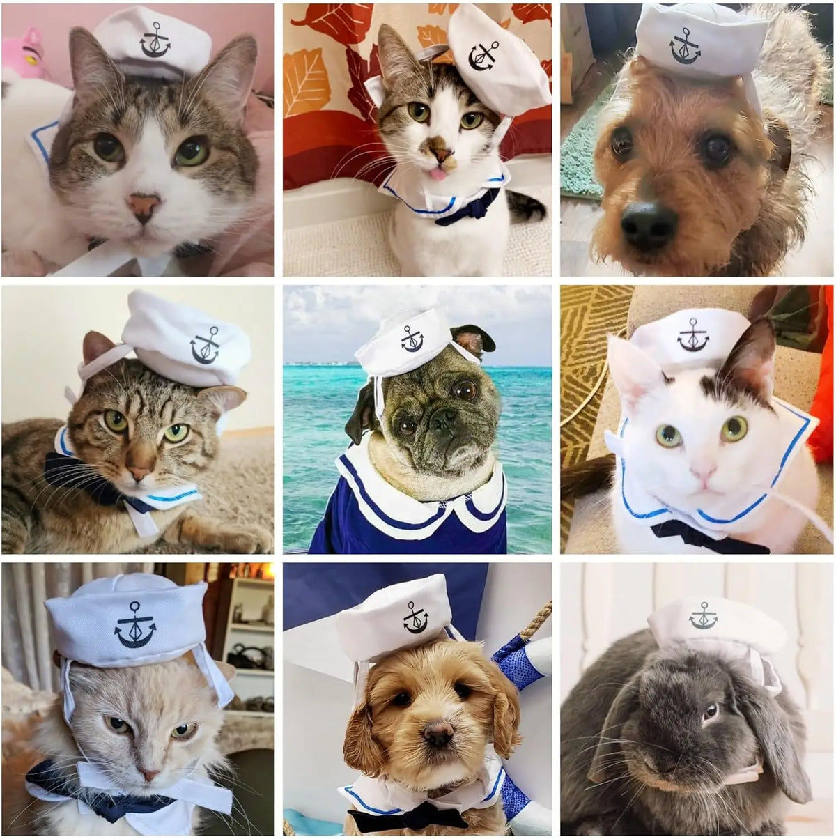 Pet Sailor Costume for Cats Small Dogs, Cat Halloween Costumes, Small Dog Sailor Outfit, Cat Sailors Hat with Tie Collar, Pet Navy Costume for Kitten Puppy Statue Decoration