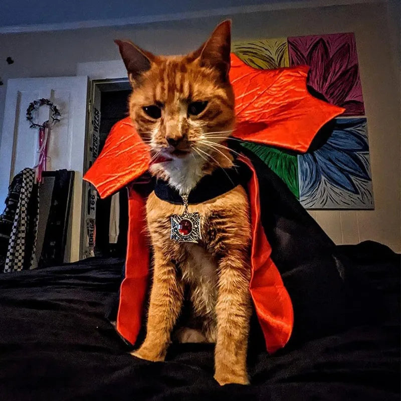 Halloween Pet Vampire Outfit Cape Decorative Gem Pendant Adjustable Velcro Closure Stiff Stand Collar for Halloween Cosplay Home Decor Pet Enthusiasts dog costumes for small dogs halloween dog