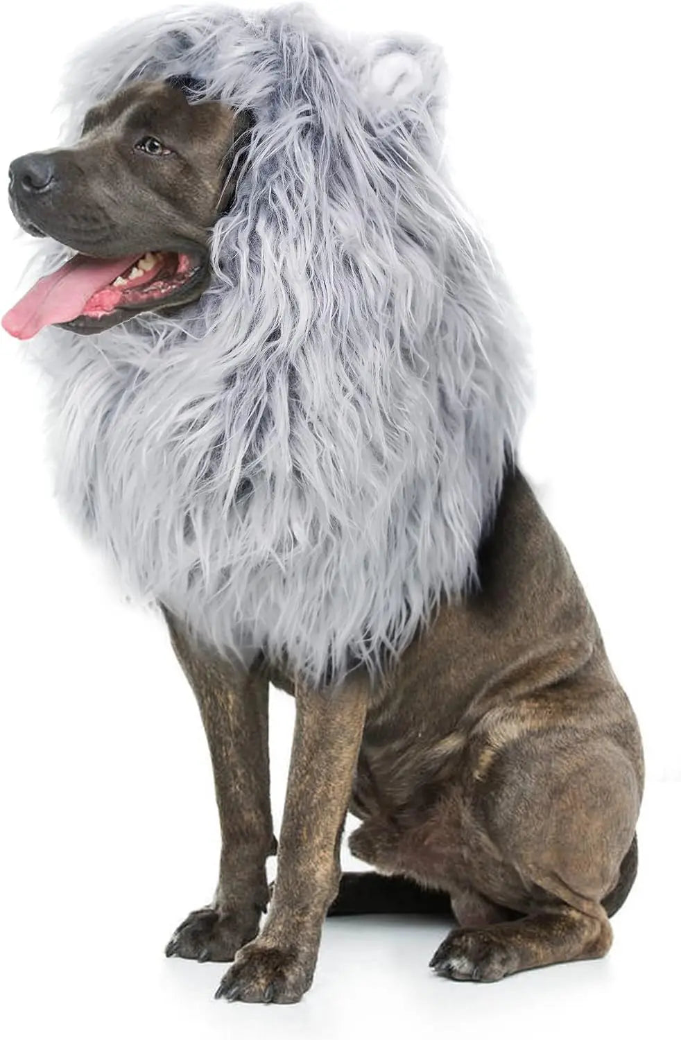 Onmygogo Lion Mane Wig for Dogs with Ears, Funny Pet Costumes for Halloween Christmas