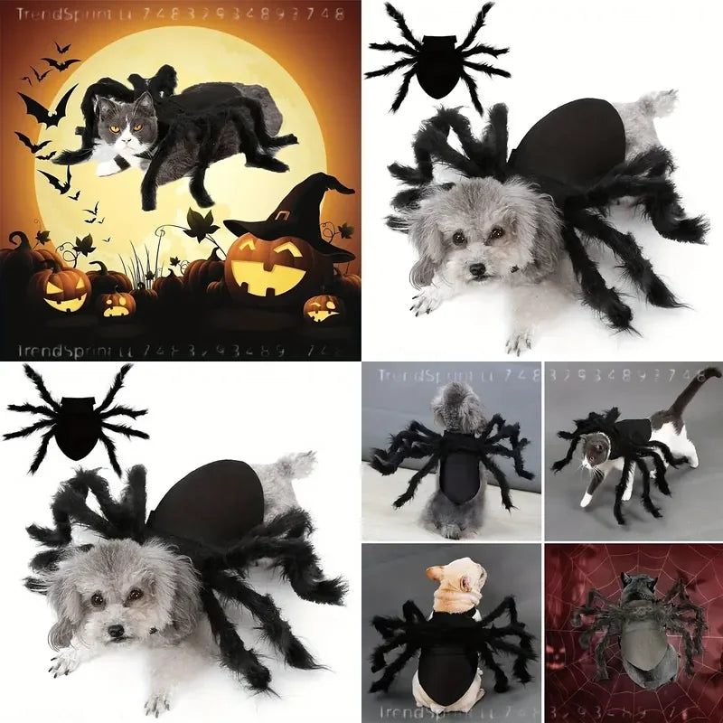Pet Spider Costume Halloween Dress‑Up Outfit Cute Cosplay Clothes For Cats Small Medium Dogs Holiday Party Festival Wear