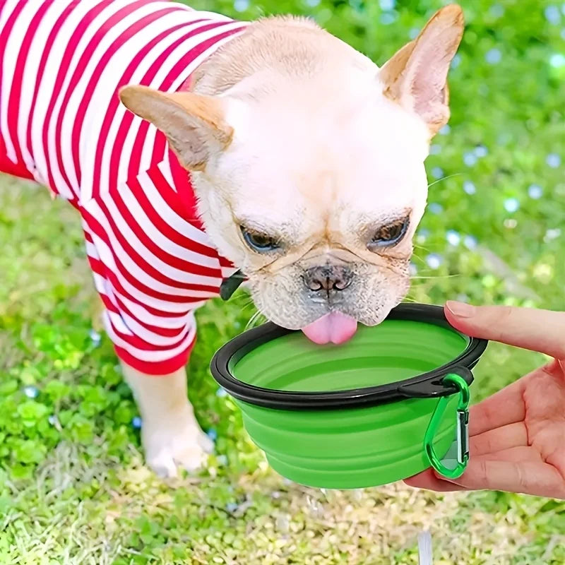 Portable Foldable Pet Bowl 350ml 1000ml Plastic Water and Food Bowl for Dogs Cats Collapsible Bowl with Buckle Black Frame Leak Proof Easy Grip Handle for Camping Hiking Travel Home Use Pet Travel Essential