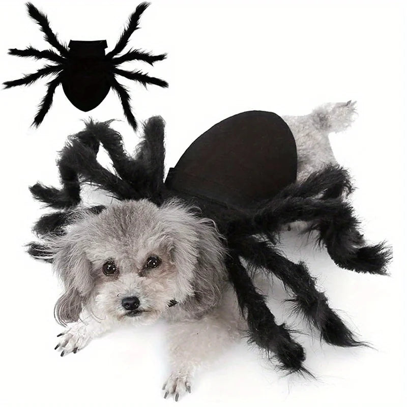 Pet Spider Costume Halloween Dress‑Up Outfit Cute Cosplay Clothes For Cats Small Medium Dogs Holiday Party Festival Wear