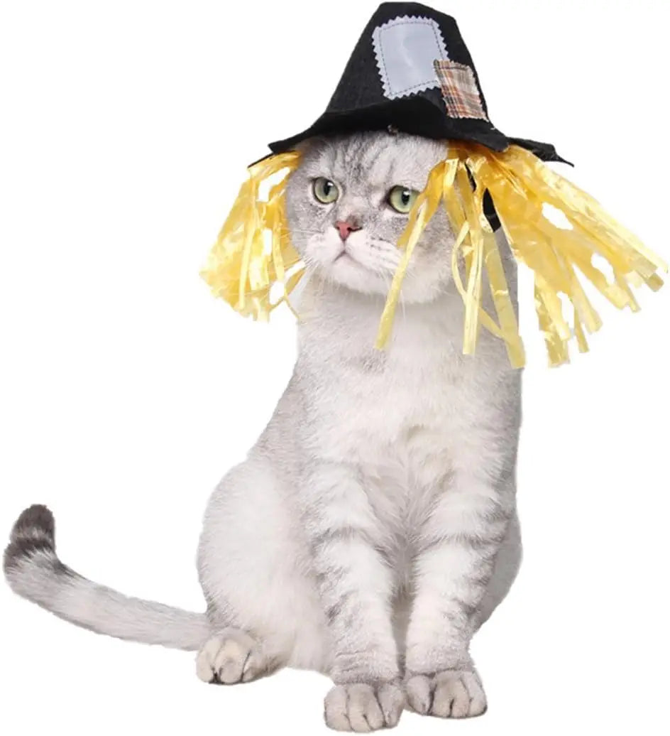 Pet Sailor Costume for Cats Small Dogs, Cat Halloween Costumes, Small Dog Sailor Outfit, Cat Sailors Hat with Tie Collar, Pet Navy Costume for Kitten Puppy Statue Decoration