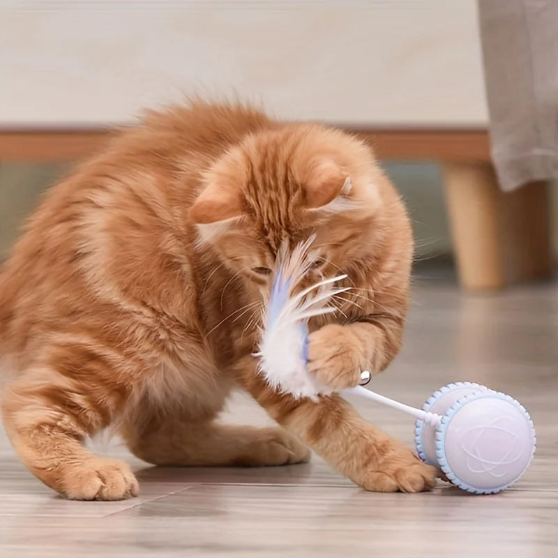 Cat Toy with Automatic Feather for Indoor Play and Entertainment