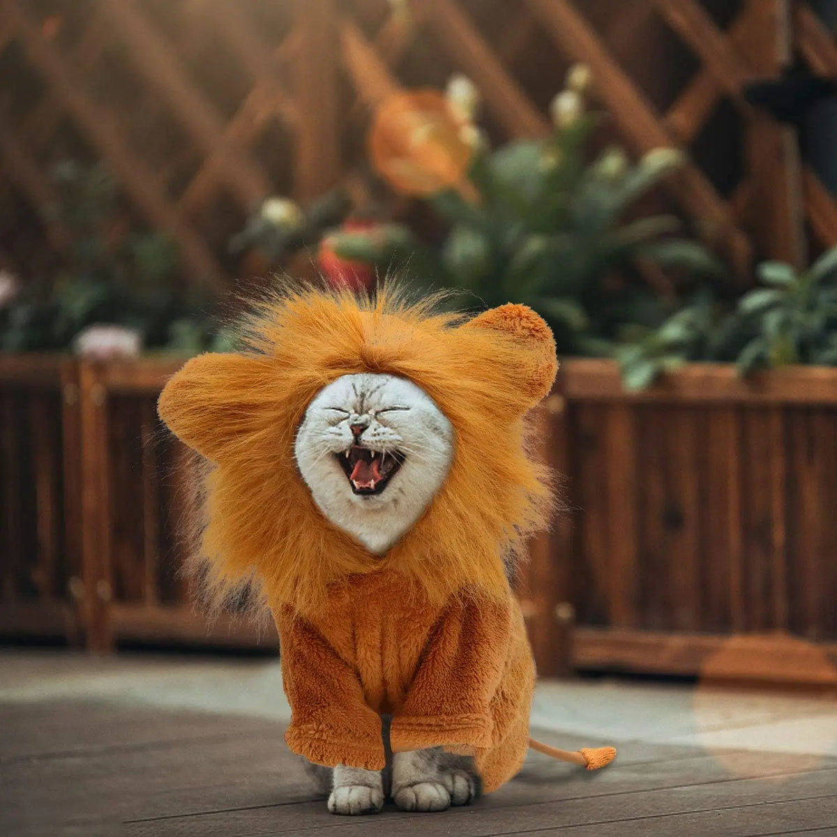 Dog Lion Costume Pet Clothes for Halloween Party Simulation Lion Pets Outfits Cosplay Dress up Clothes Pet Lions Hoodie Cat Costume for Party