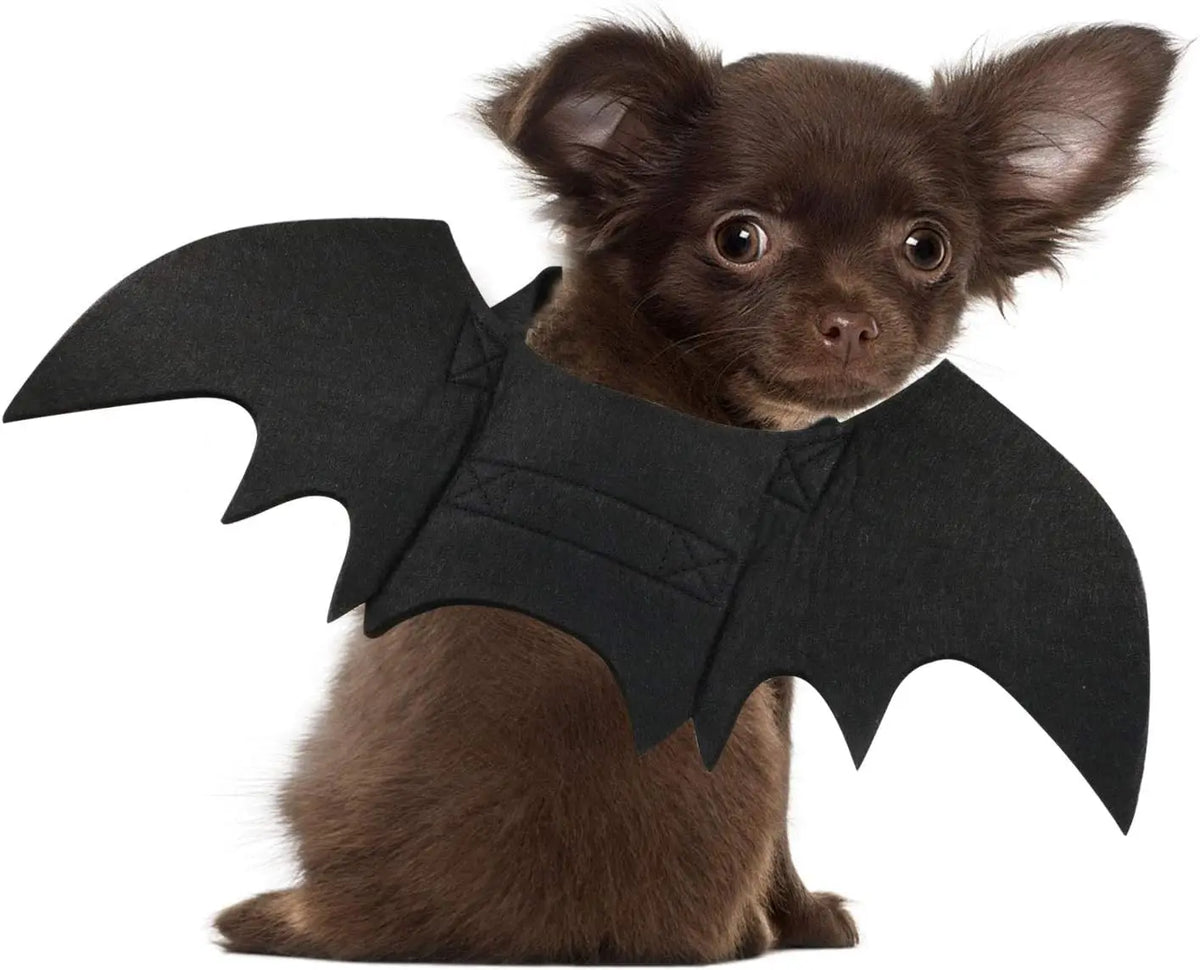 Dog Bat Costume - Halloween Pet Costume Bat Wings Cosplay Dog Costume Cat Costumes for Party M