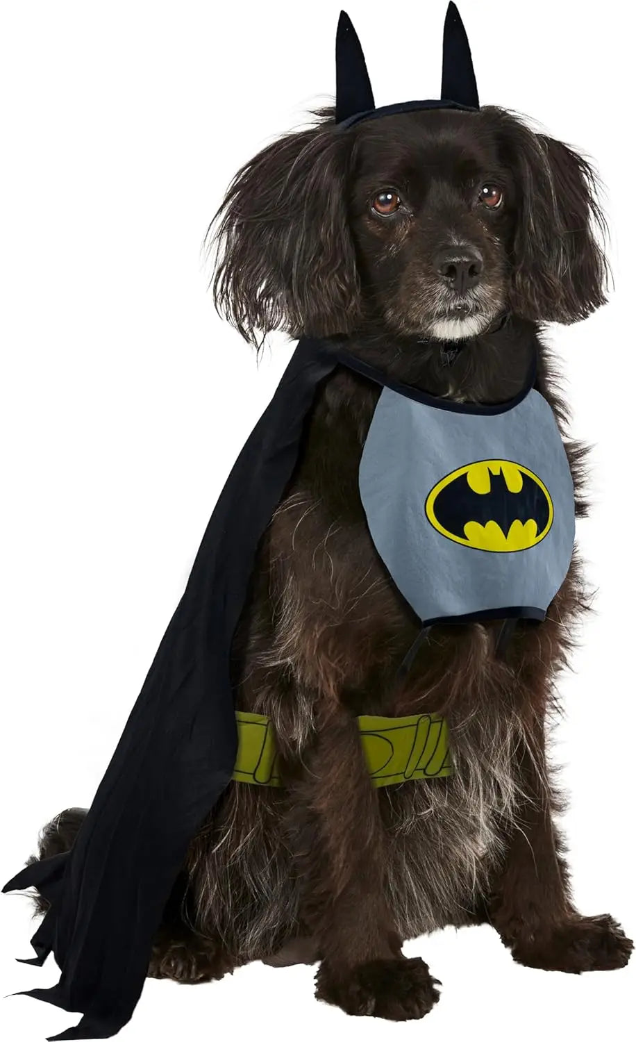 Comics Superheroes: Batman Pet Costume for Dogs or Cats by Rubies, Small