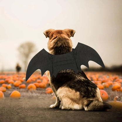 Dog Bat Costume - Halloween Pet Costume Bat Wings Cosplay Dog Costume Cat Costumes for Party M