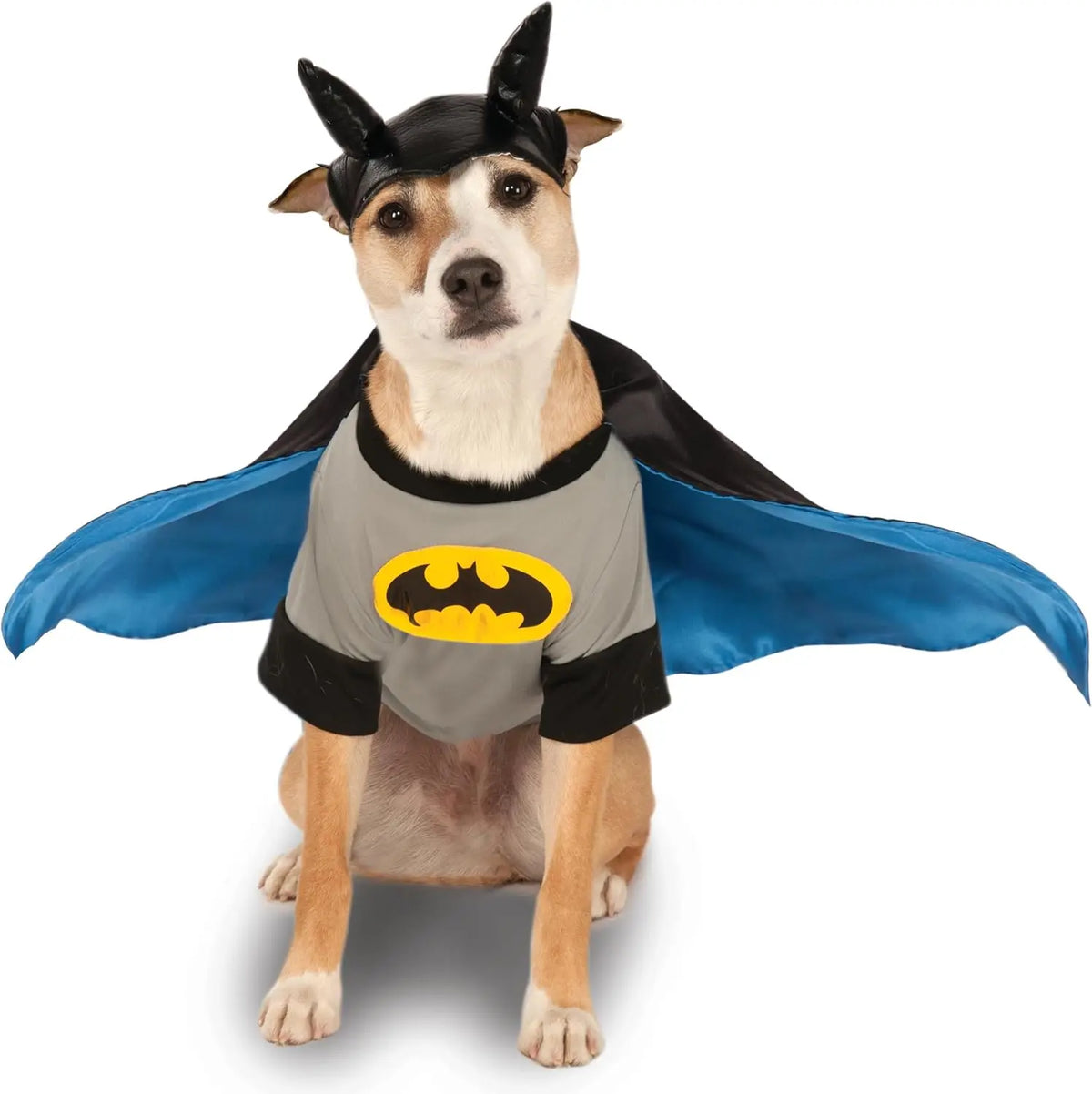 Comic Superheroes: Batman Pet Costume for Dogs or Cats by Rubies, Large