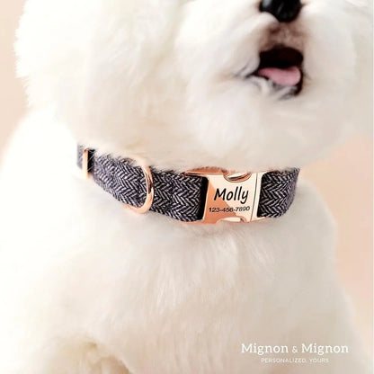Personalized Dog Collar, Custom Pet Name and Contact Ino Engraved, Adjustable Cotton Collar or Small Dogs, Cats, and Puppies wit