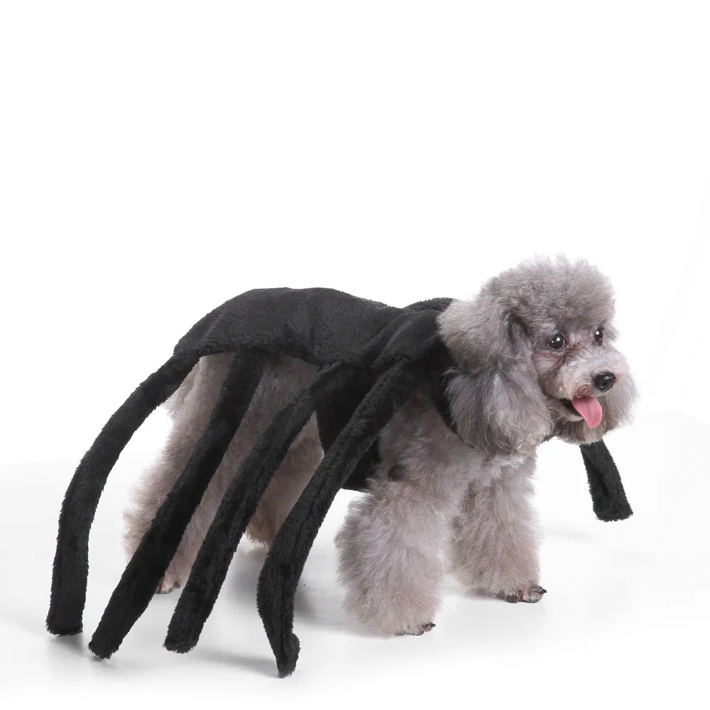 Halloween Dog Witch Cosplay Costume Skin-friendly Stretch Fabric Ruffled Organza Bottom Matching Witch Hat for Halloween Parade Outdoor Walk Pet Enthusiasts cat costume bat wings cat halloween