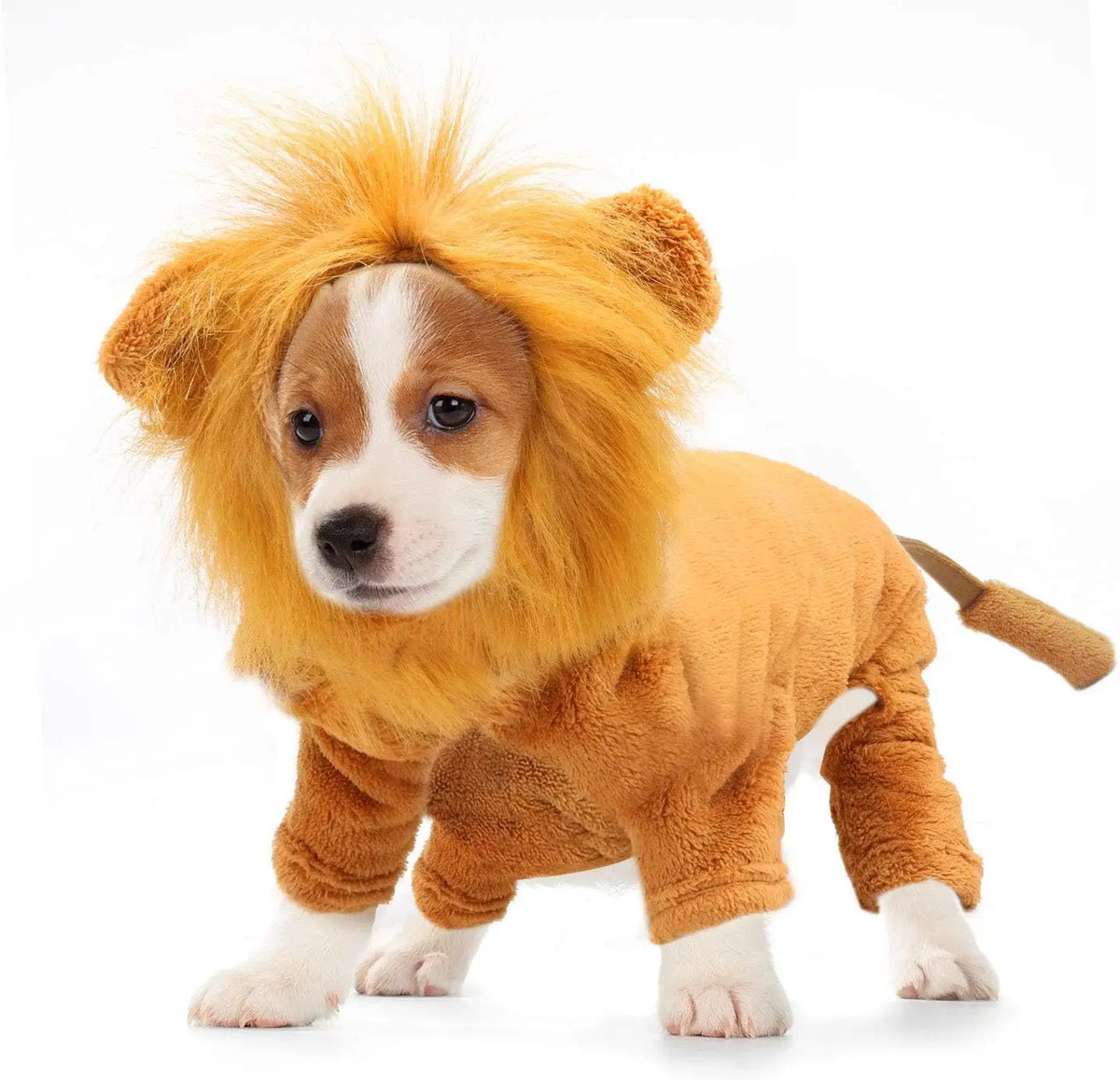 Dog Lion Costume Pet Clothes for Halloween Party Simulation Lion Pets Outfits Cosplay Dress up Clothes Pet Lions Hoodie Cat Costume for Party