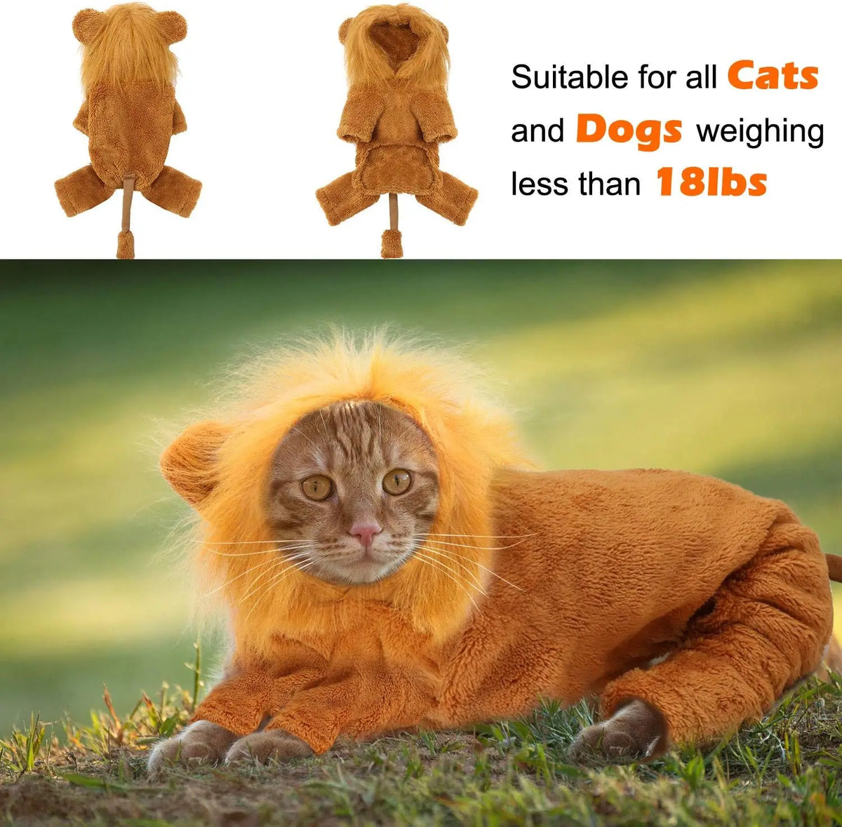 Dog Lion Costume Pet Clothes for Halloween Party Simulation Lion Pets Outfits Cosplay Dress up Clothes Pet Lions Hoodie Cat Costume for Party