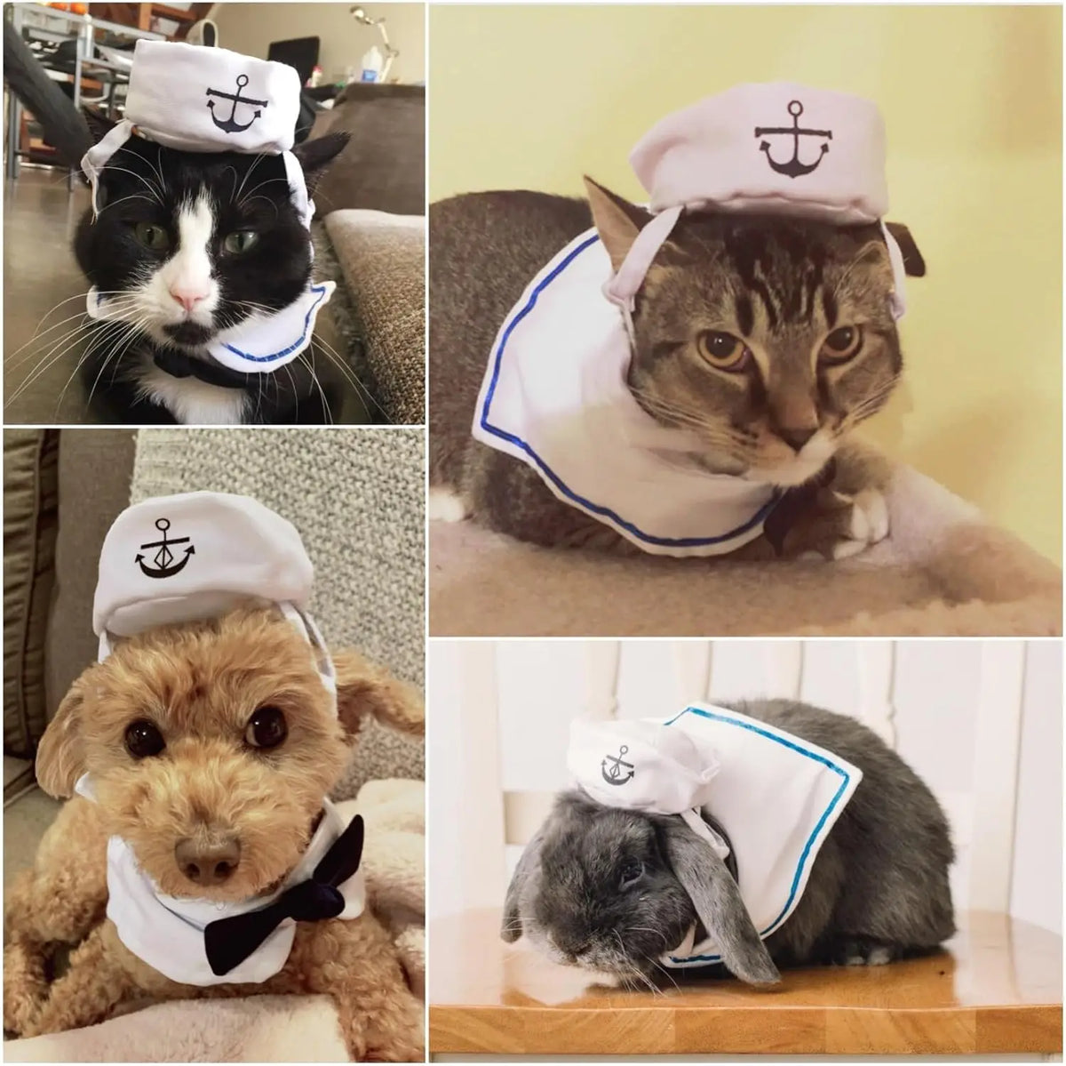 Pet Sailor Costume for Cats Small Dogs, Cat Halloween Costumes, Small Dog Sailor Outfit, Cat Sailors Hat with Tie Collar, Pet Navy Costume for Kitten Puppy Statue Decoration