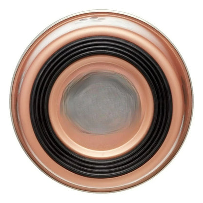 Dog Bowl ，Small Champagne, 1.0 CT，Stops gulping, helps prevent bloat .