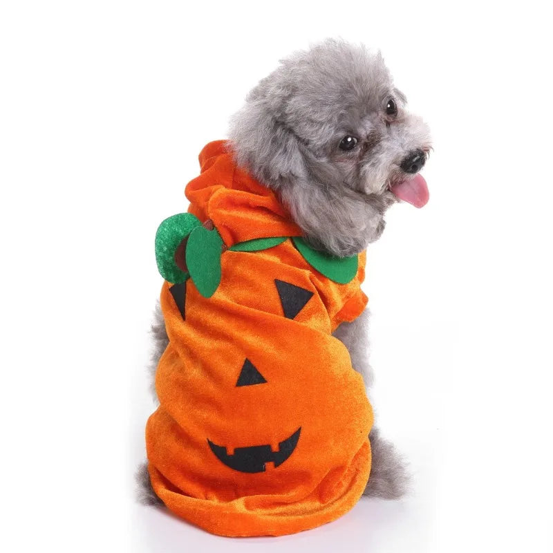 Halloween Dog Witch Cosplay Costume Skin-friendly Stretch Fabric Ruffled Organza Bottom Matching Witch Hat for Halloween Parade Outdoor Walk Pet Enthusiasts cat costume bat wings cat halloween