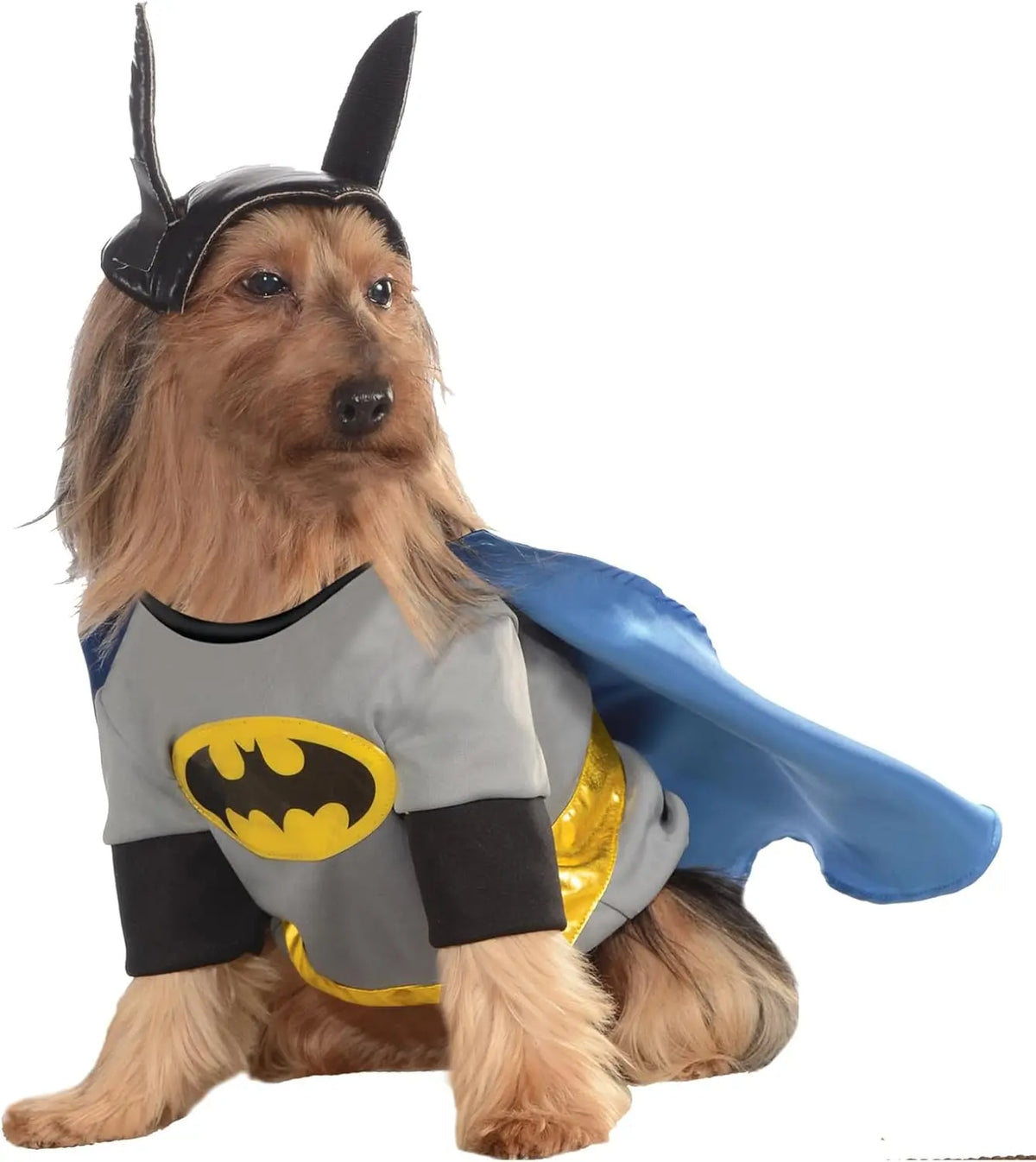 Comic Superheroes: Batman Pet Costume for Dogs or Cats by Rubies, Large