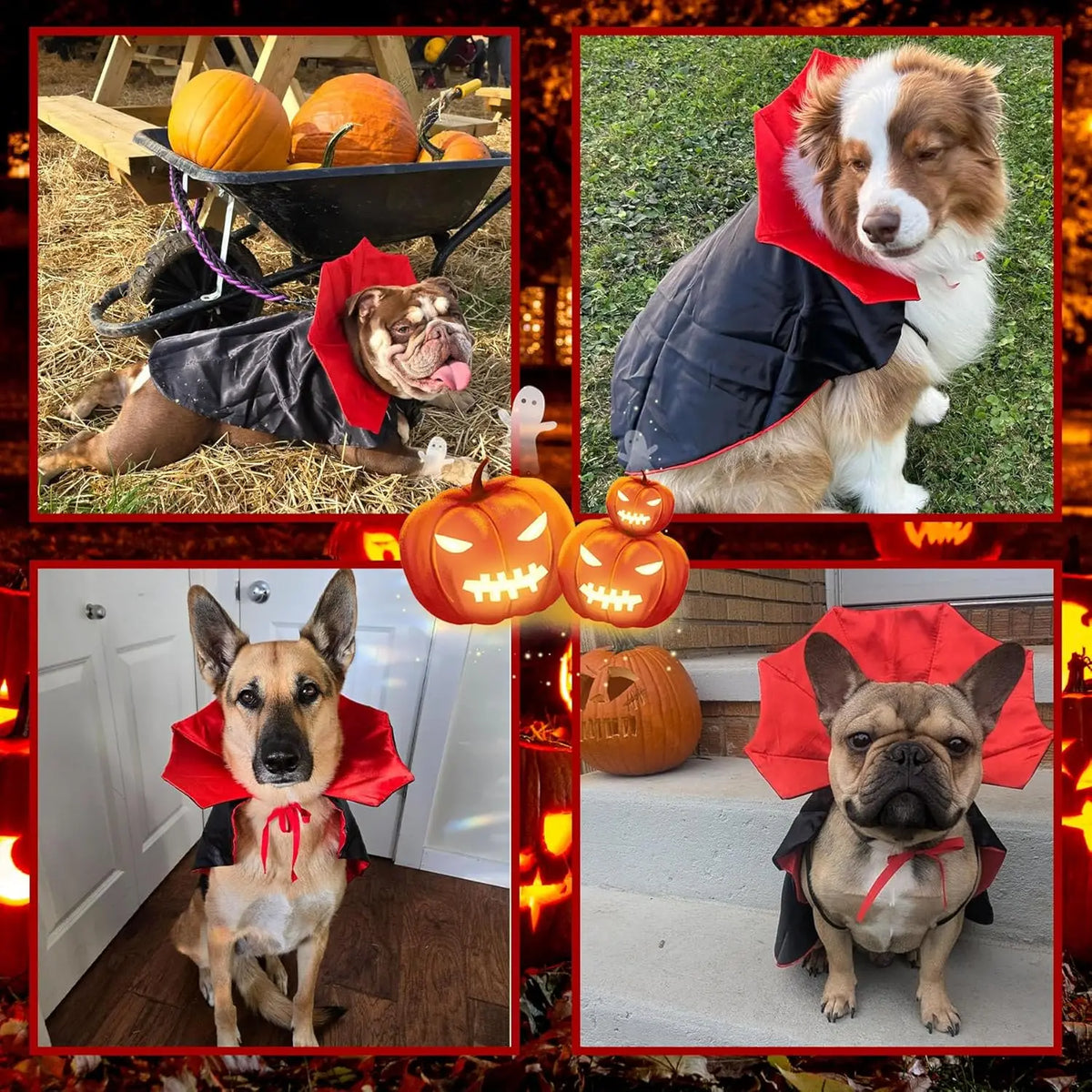 Dog Halloween Costumes, Dog Vampire Devil Cloak Cape Costume Halloween Costumes for Small Medium Large Dogs Pets (Large)