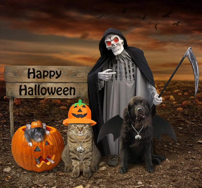 Dog Bat Costume - Halloween Pet Costume Bat Wings Cosplay Dog Costume Cat Costumes for Party M
