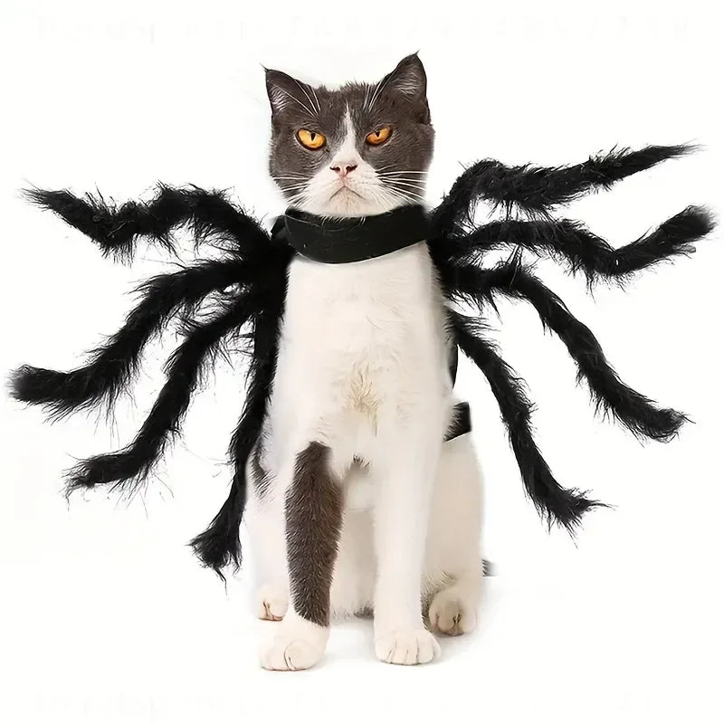 Pet Spider Costume Halloween Dress‑Up Outfit Cute Cosplay Clothes For Cats Small Medium Dogs Holiday Party Festival Wear