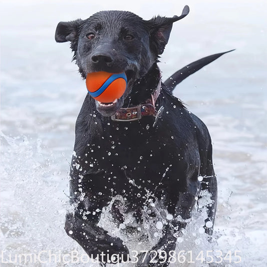 Durable Silicone Dog Chew Ball Interactive Pet Toy For Medium Breeds Teeth Cleaning Play‑Time Fun Dog Entertainment Supply