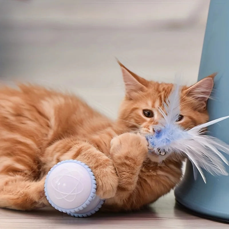 Cat Toy with Automatic Feather for Indoor Play and Entertainment