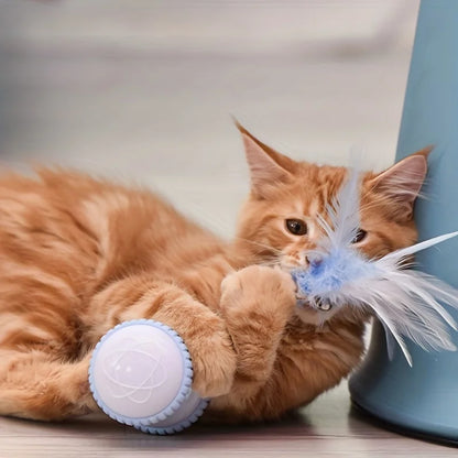 Cat Toy with Automatic Feather for Indoor Play and Entertainment