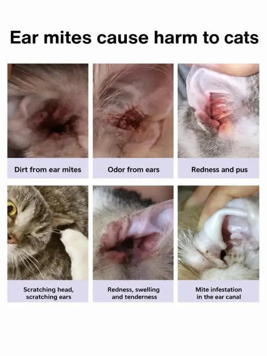 46g of deworming agent for pet ear mites