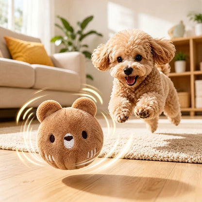 One brown panda bouncy ball with sound, suitable for cats, scratching, and teething. It's a pet toy, dog teething toy, and featu